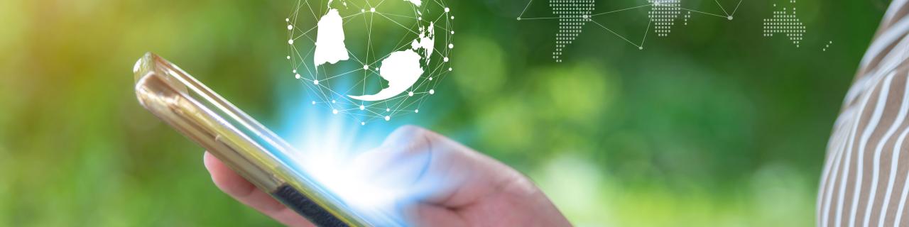 Wholesale Voice & Roaming