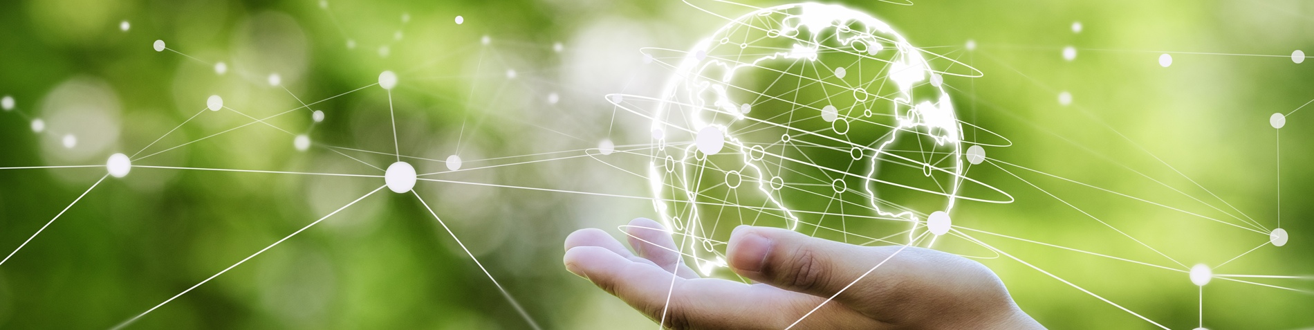 Empowering Connectivity from East to West